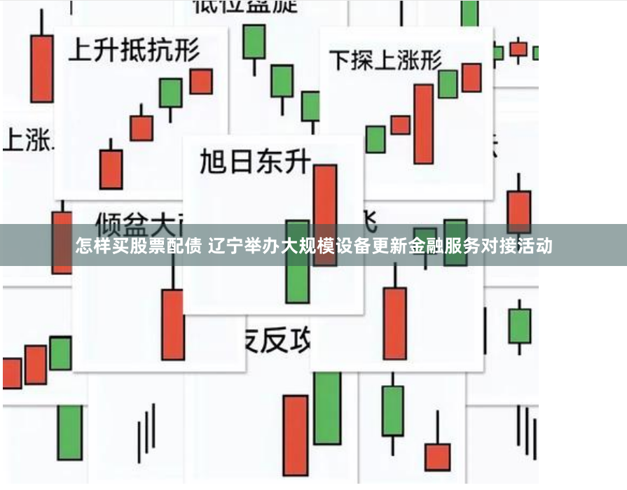 怎样买股票配债 辽宁举办大规模设备更新金融服务对接活动