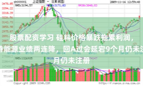 股票配资学习 硅料价格暴跌拖累利润，新特能源业绩两连降，回A过会延宕9个月仍未注册