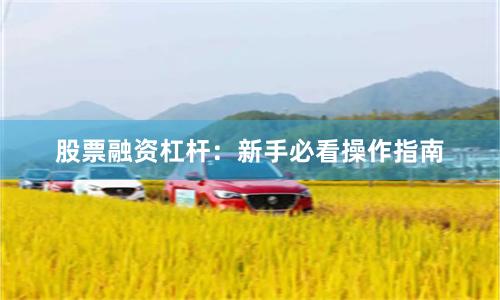 股票融资杠杆：新手必看操作指南