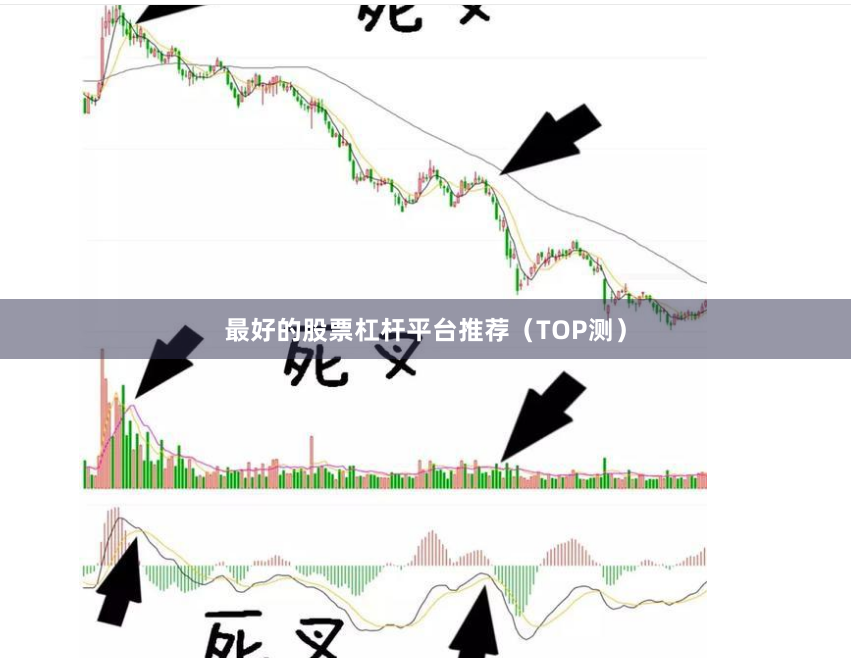 最好的股票杠杆平台推荐（TOP测）